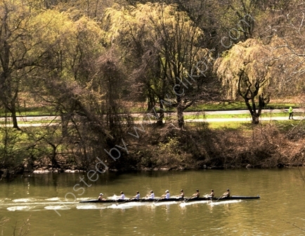 Scullers on the Schuylkill River